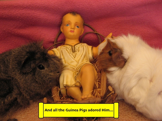 Guinea Pigs Adoring the Infant Child